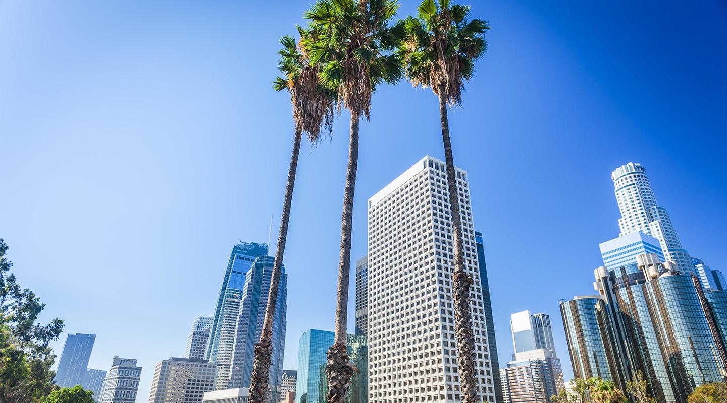 View of downtown LA skyline with palm trees