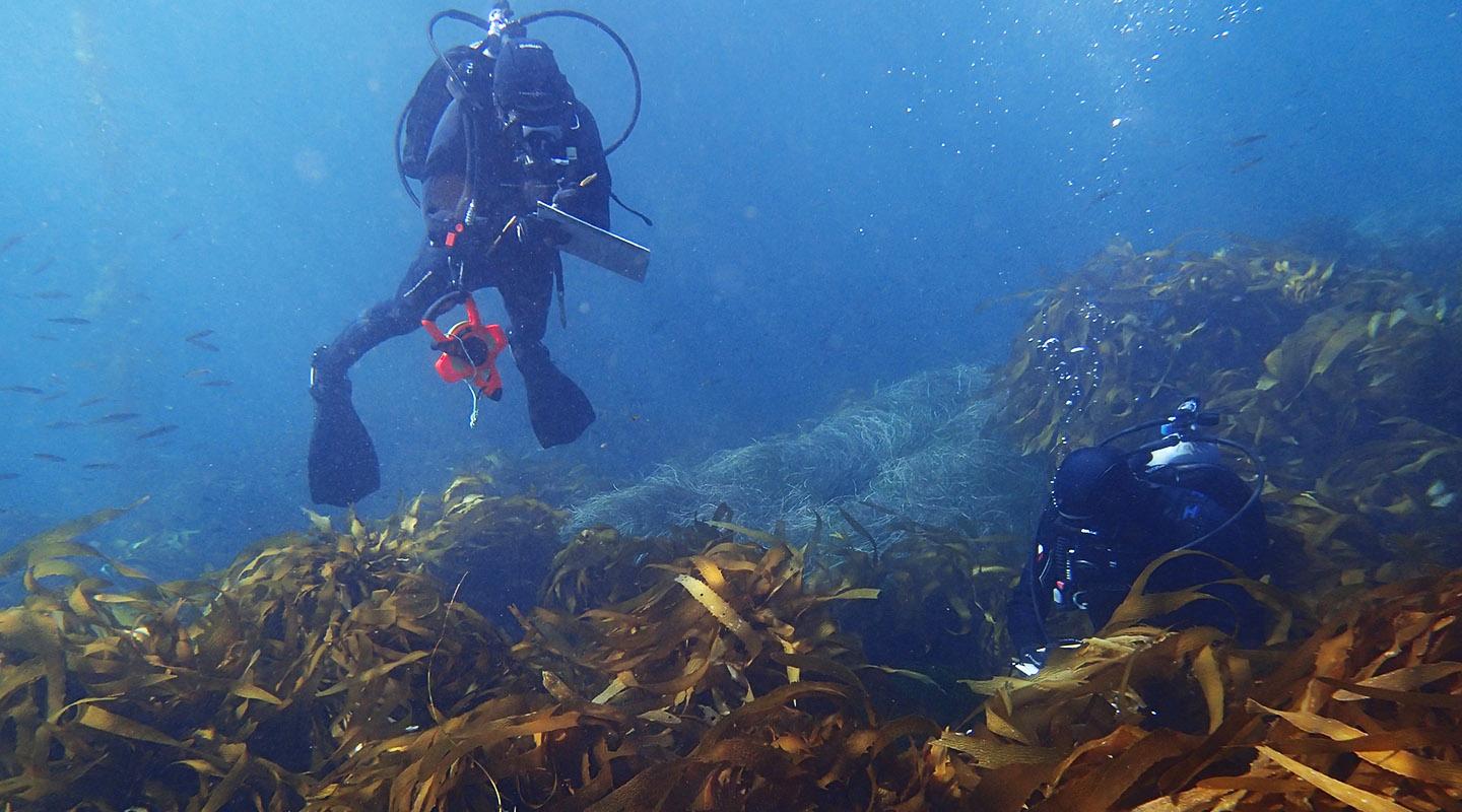 a student doing an underwater ocean dive