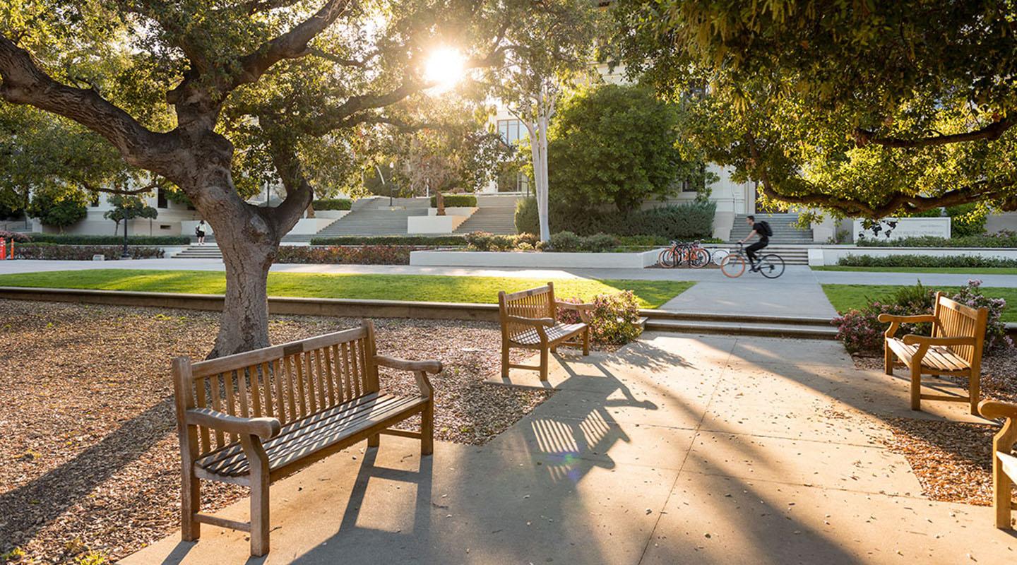 a view of the campus Quad with benches and a biker going past