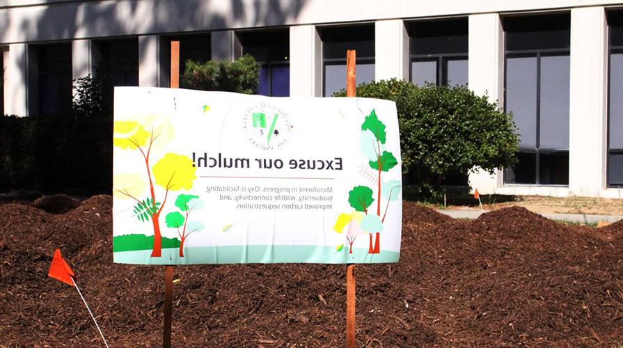 a microforest identification sign in front of a big field of brown mulch