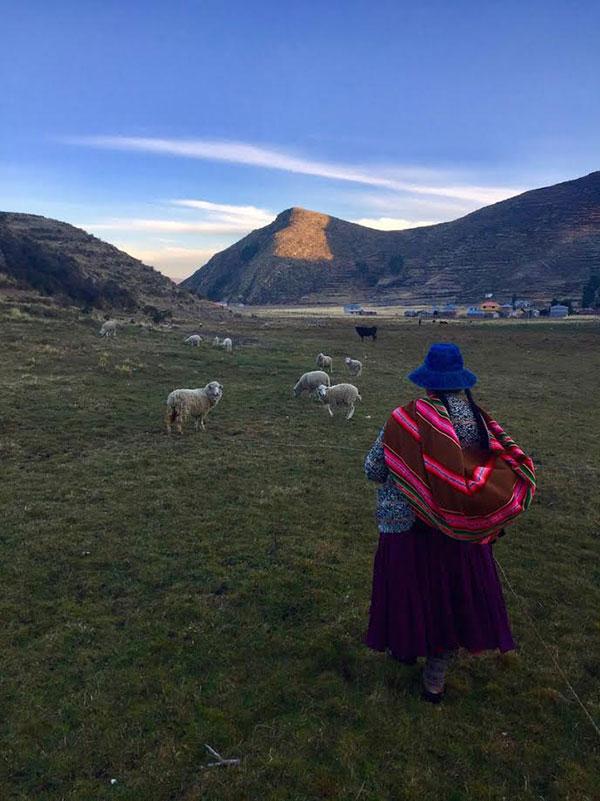 Photo of a woman herding sheep in Bolivia