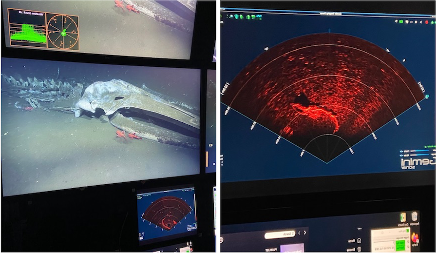 Rosebud on sonar and skull of Rosebud