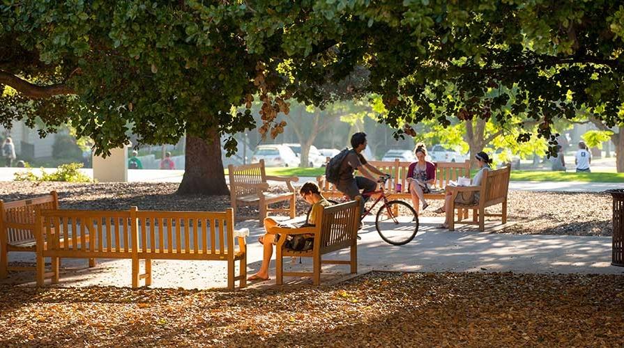 Students on the quad at Oxy