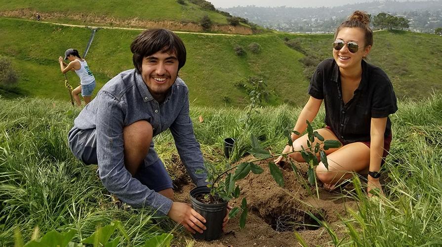 Students planting in the earth