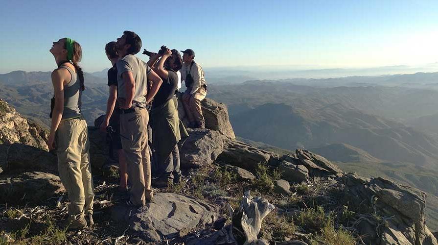 Students on a mountainside surveying the landscape