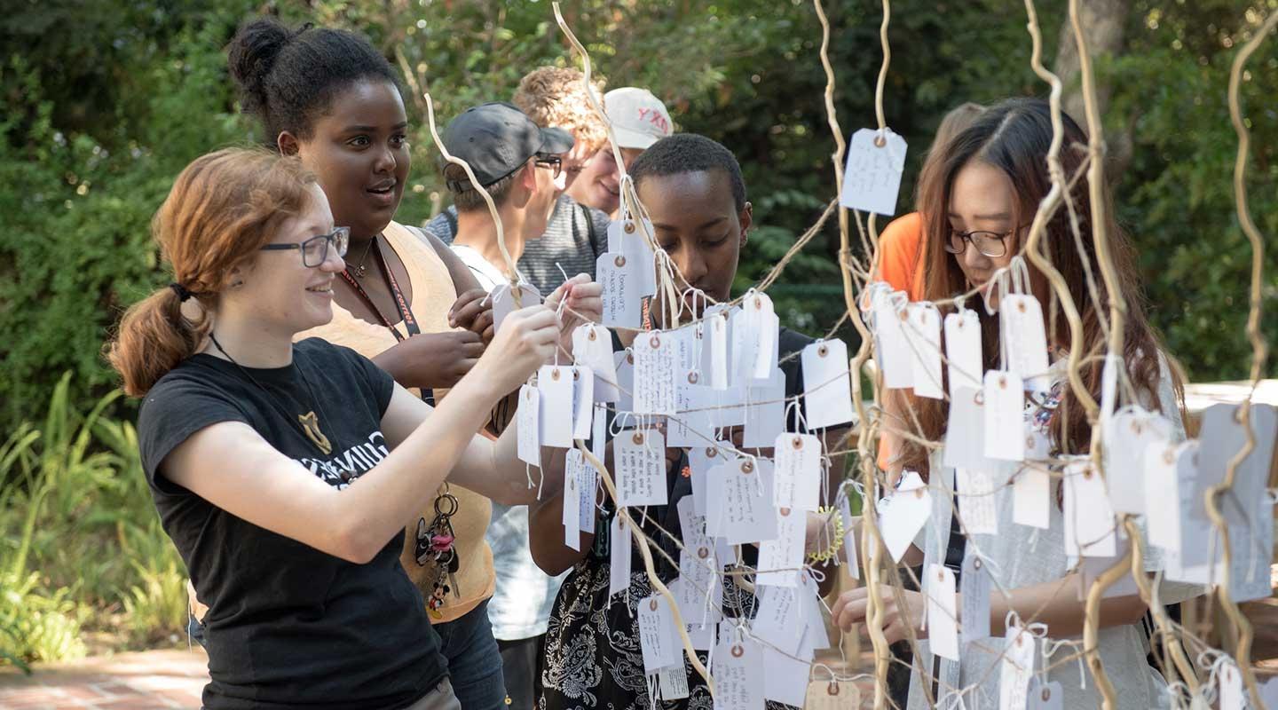 Oxy students decorating the wishing tree at Orientation