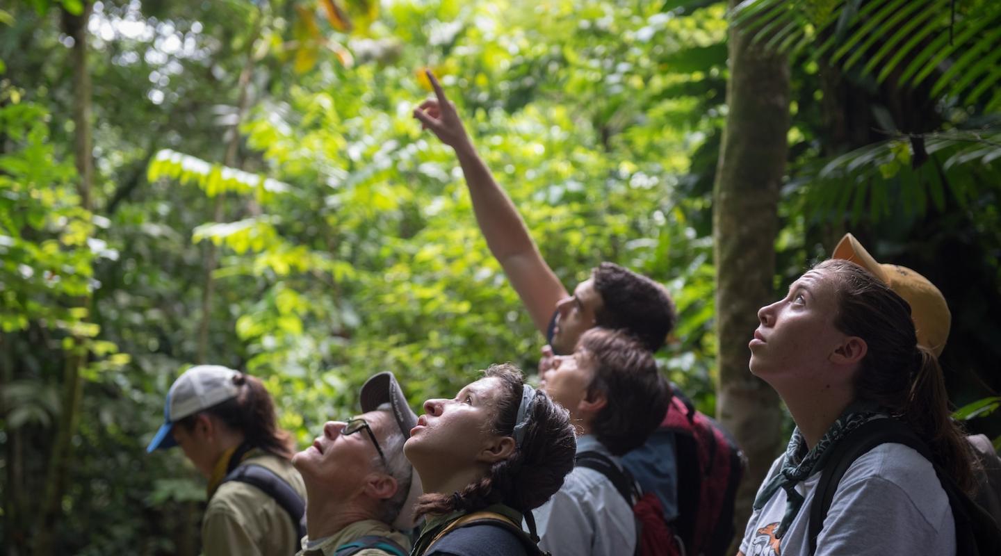 Occidental student researchers in Costa Rica.