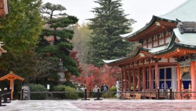 红色的广岛寺庙，背景是松树