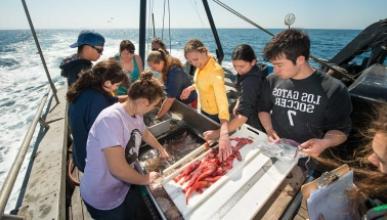 Students doing marine research on a ship