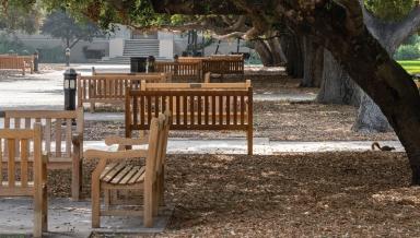 Academic Quad, Fall 2020