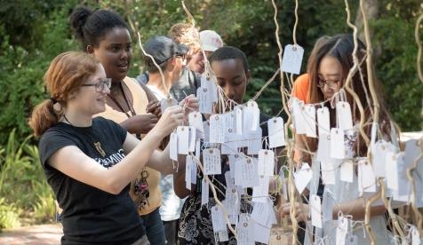 Oxy students decorating the wishing tree at Orientation