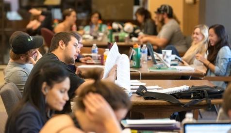 Students study together in the Academic Commons