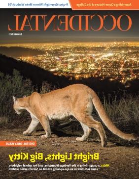 cover image of the Summer 2023 magazine issue featuring P22 the mountain lion