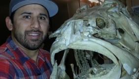 Dr. Chris Martinez with fish skeleton