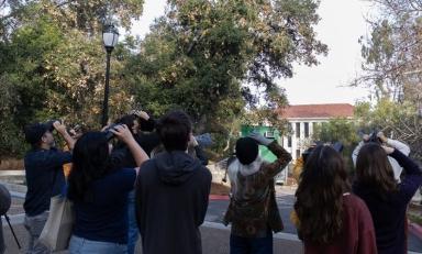 bird watchers stand in a group at Sycamore Glen.