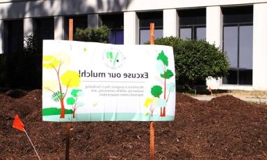 a microforest identification sign in front of a big field of brown mulch