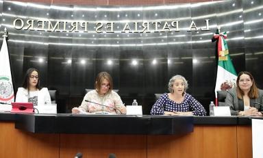 Professor Jennifer Piscopo in a panel at the Mexican Senate